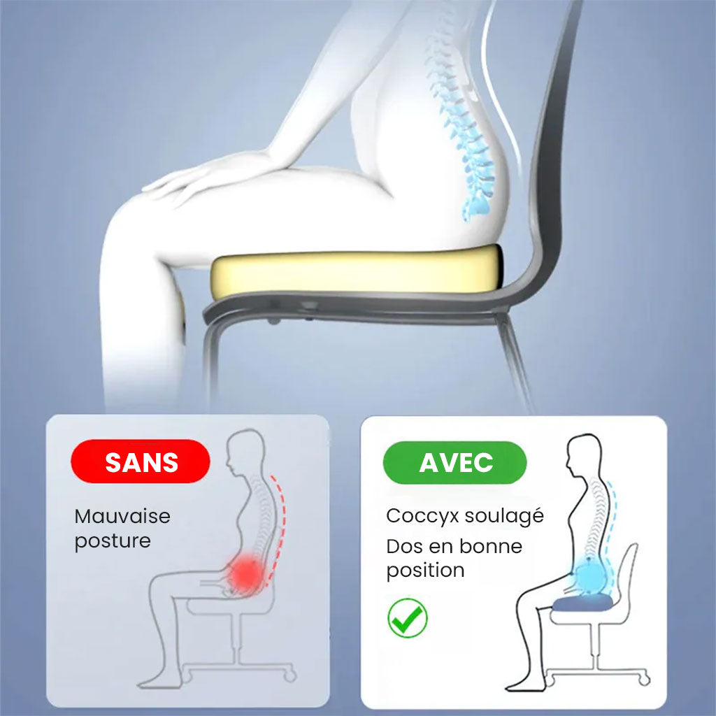 Coussin de siège Ergonomique à Mémoire de forme