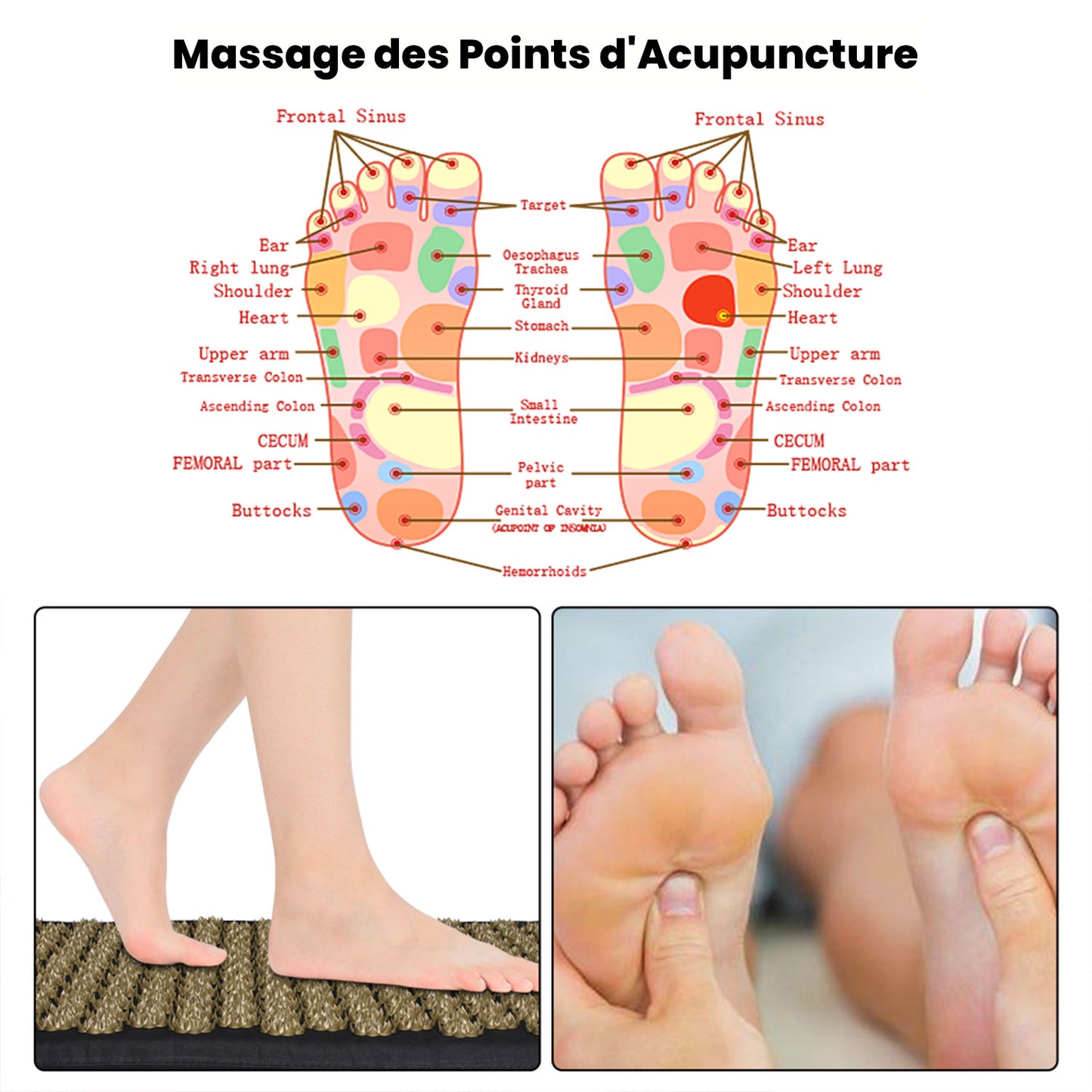 Tapis d'Acupression Shiatsu | Yoga